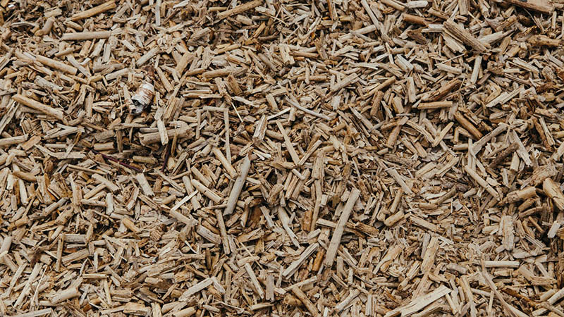 Zrębki drzewne, biomasa