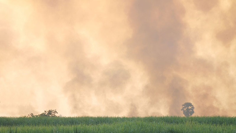 Pyły i aerozole w powietrzu